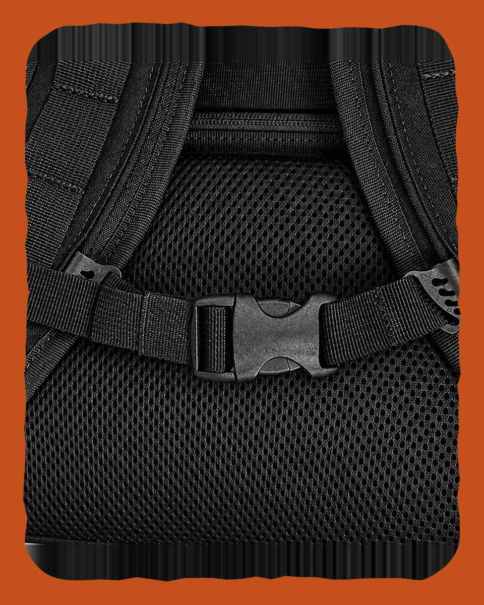 Padded shoulder harness with sternum strap and mesh back panel